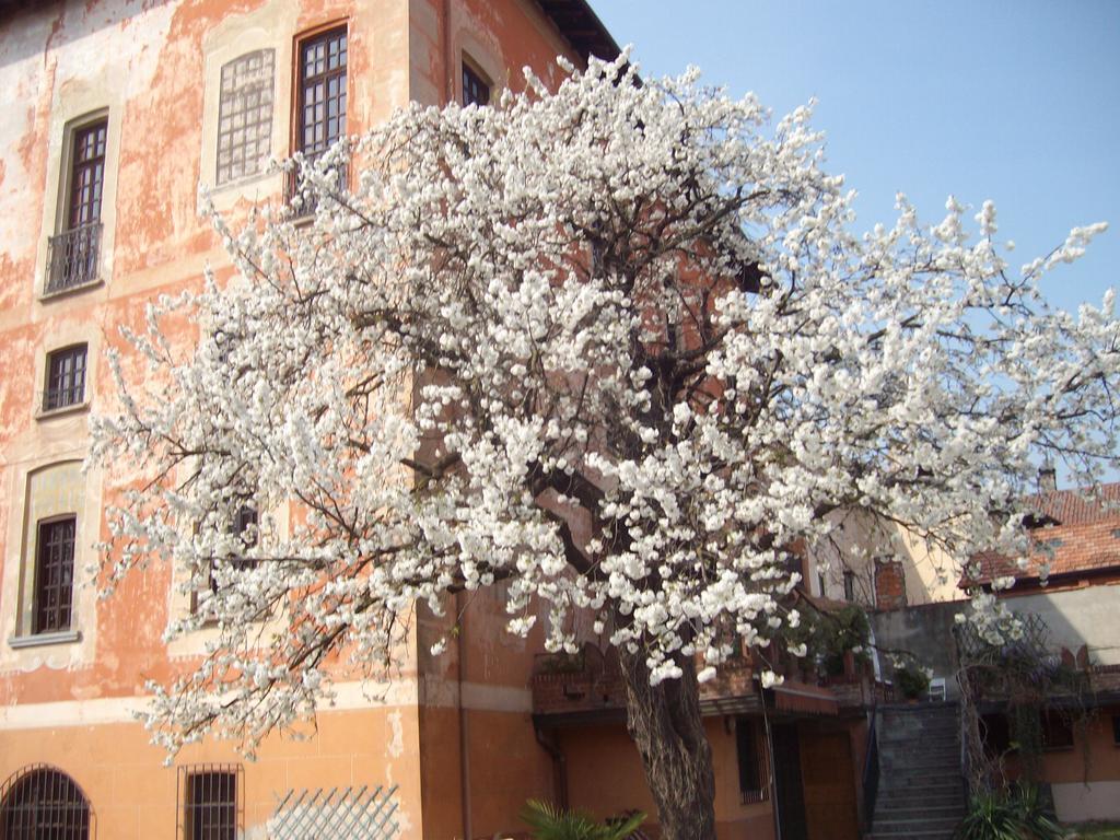 Il Castello Delle Meraviglie Fontaneto d'Agogna Eksteriør bilde